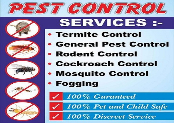  Safe & Secure Pest Control Services Near me low price free Quito 