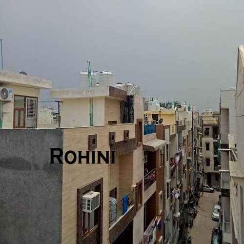 Rohini Delhi pest killer near me search  
